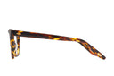 Barton Perreira - Ginnie (Classic Tortoise)