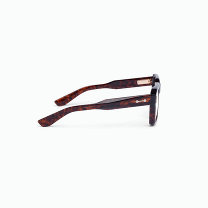 Akoni - Pegasus (Dark Havana)