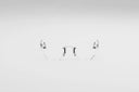 Movitra - SINE 01 (Brushed Silver/Polished Silver)